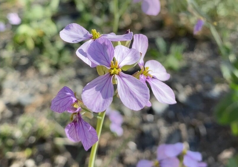 1eefb3b034a81d7761745eed4822dd404964b239 (2)